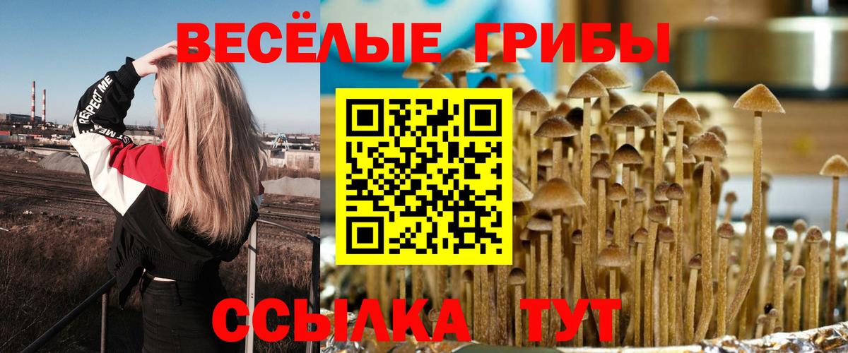 Галлюциногенные грибы прущие грибы  Вход с VPN  Киселёвск 