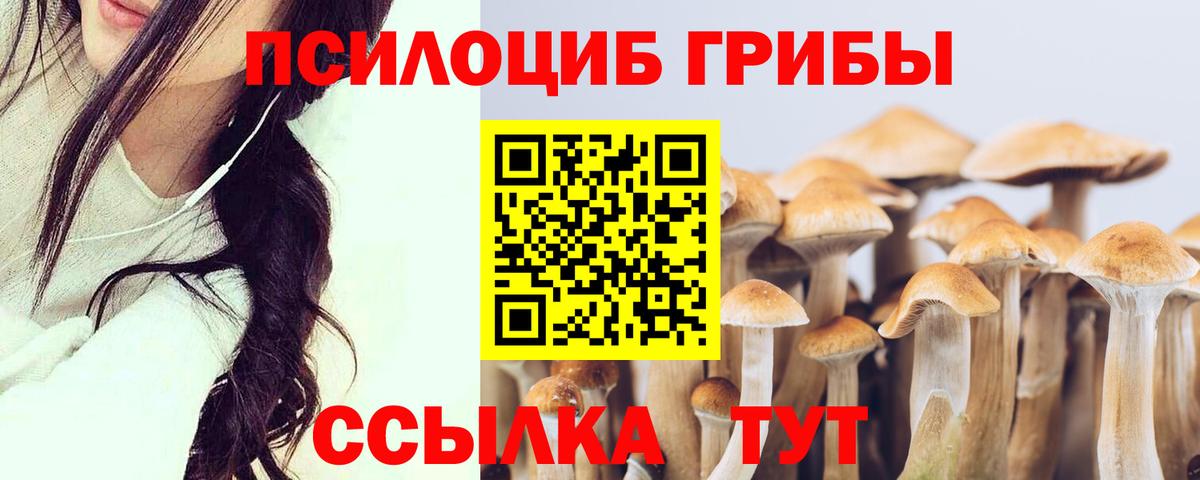 Галлюциногенные грибы ЛСД Киселёвск